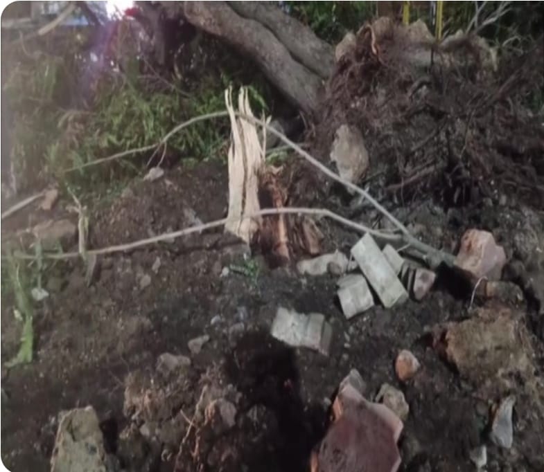 आज चक्रवात बिपरजॉय राजस्थान पहुंचेगा, भारी बारिश की संभावना india news | india latest news | india latest hindi news | india news box bharat