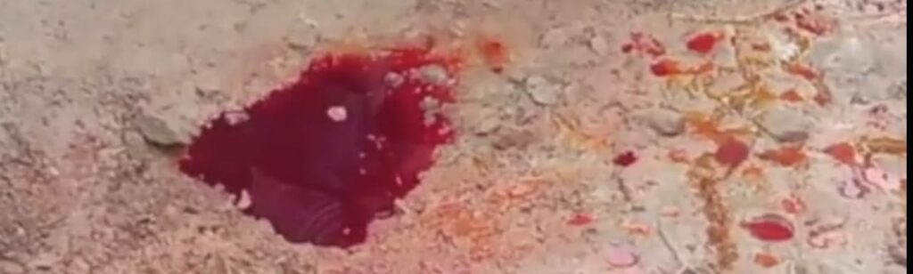 Jharkhand districts news | jharkhand latest news | jharkhand latest hindi news | jharkhand news box bharat