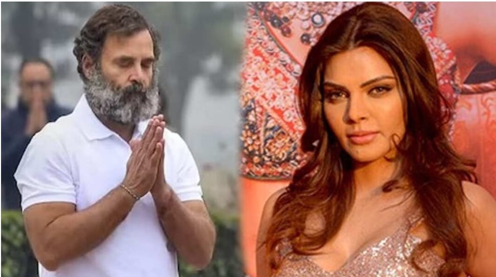राहुल गांधी से शादी के लिए तैयार हुईं बोल्ड अदाकारा शर्लिन चोपड़ा entertainment news | entertainment latest news | entertainment latest hindi news | entertainment news box bharat