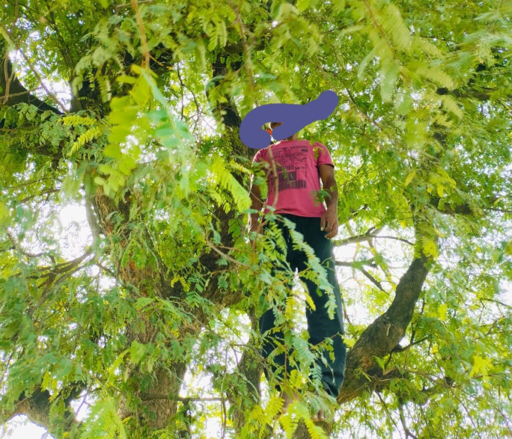 Jharkhand districts news | jharkhand latest news | jharkhand latest hindi news | jharkhand news box bharat