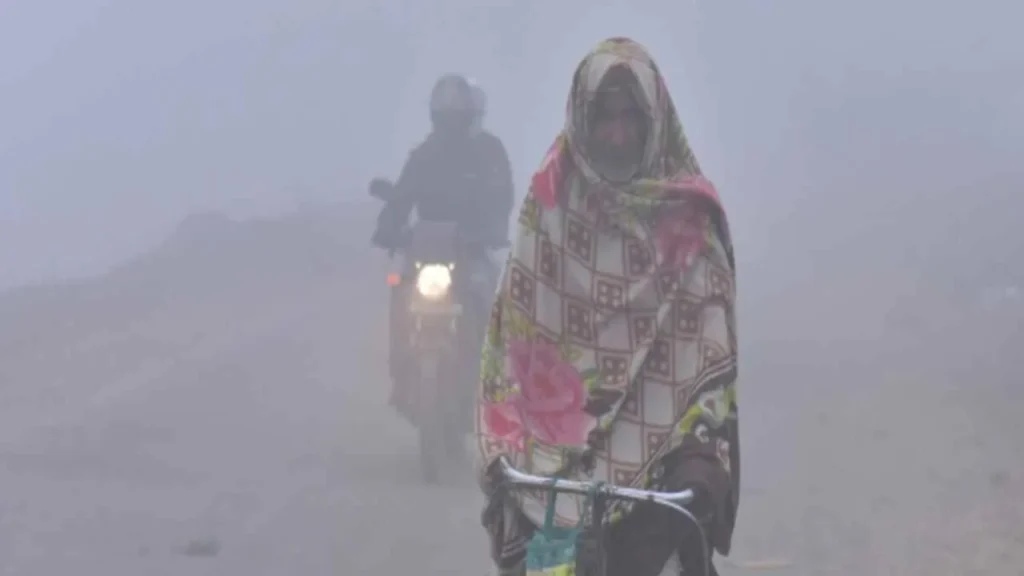 Jharkhand districts news | jharkhand latest news | jharkhand latest hindi news | jharkhand news box bharat