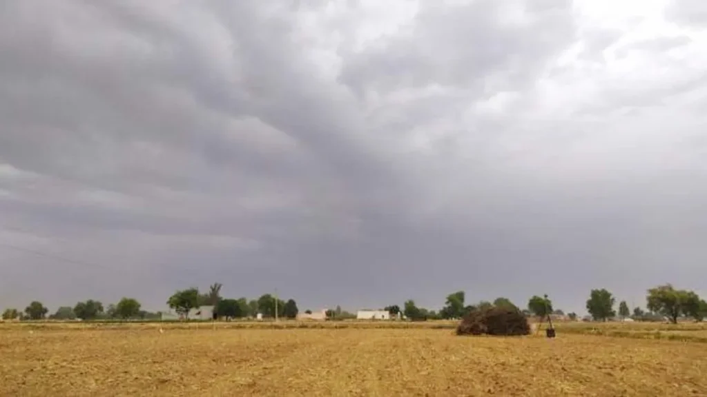 Jharkhand districts news | jharkhand latest news | jharkhand latest hindi news | jharkhand news box bharat