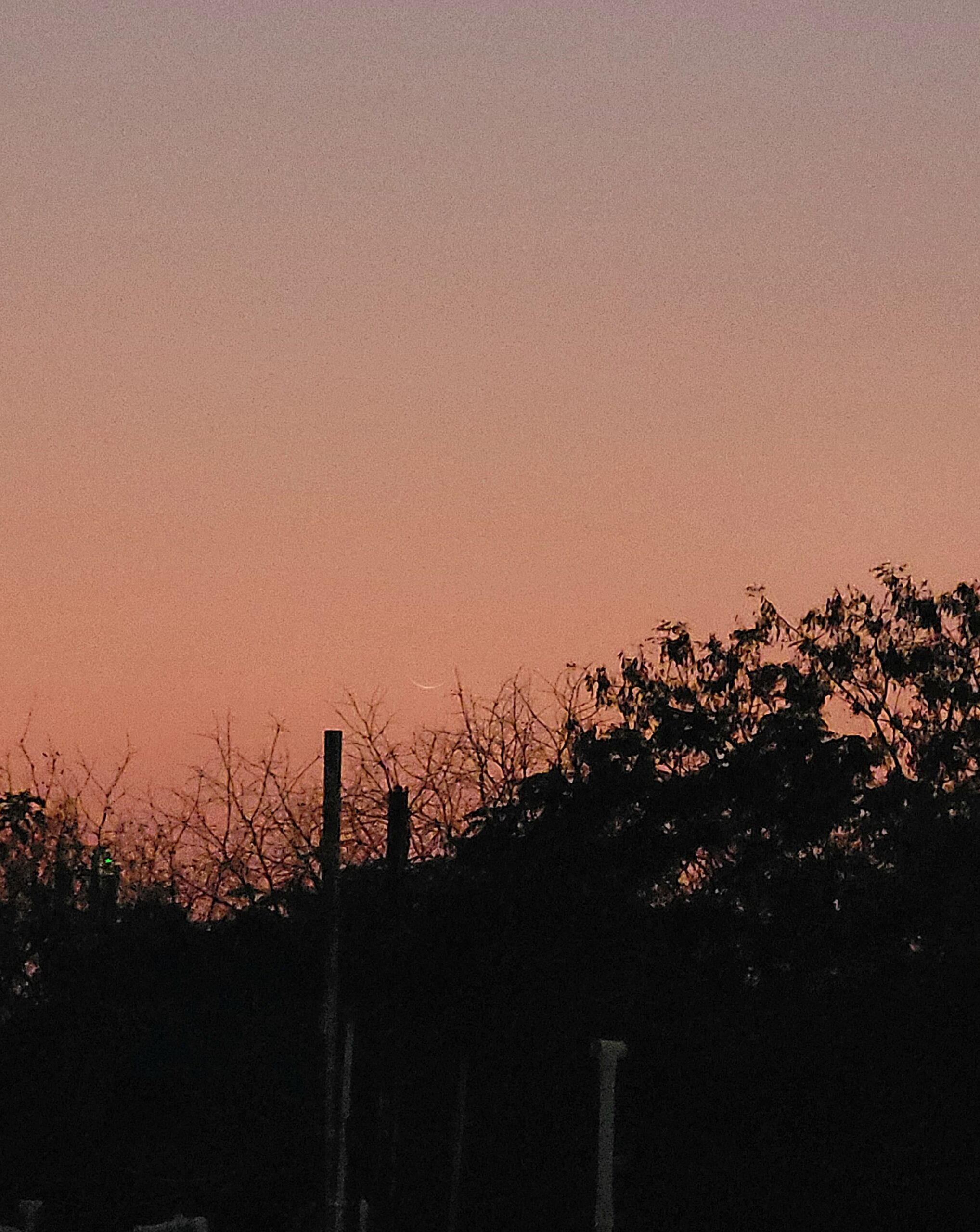 Jharkhand districts news | jharkhand latest news | jharkhand latest hindi news | jharkhand news box bharat