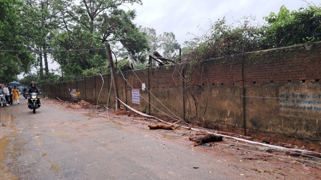 Jharkhand districts news | jharkhand latest news | jharkhand latest hindi news | jharkhand news box bharat