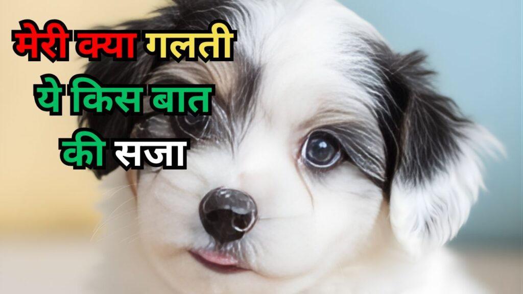 धुर्वा शालीमार बाजार में कुत्ते के साथ क्रूरता के मामले में पुलिस कार्रवाई की प्रतीकात्मक तस्वीर