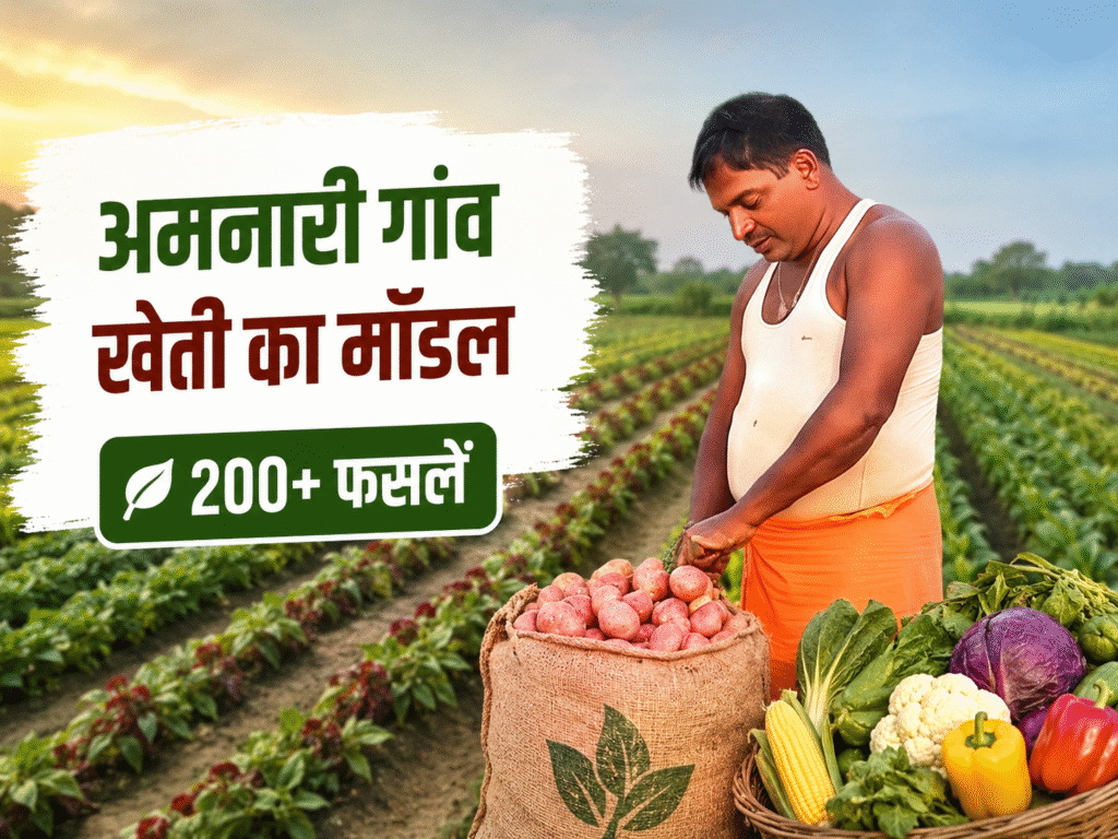 हजारीबाग का अमनारी गांव बना खेती का मॉडल: 200 से अधिक फसलों की खेती, जैविक और आधुनिक तकनीक से बढ़ रही किसानों की आय